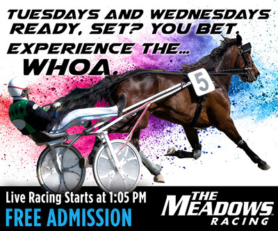 Tuesdays and Wednesdays Meadows Racing