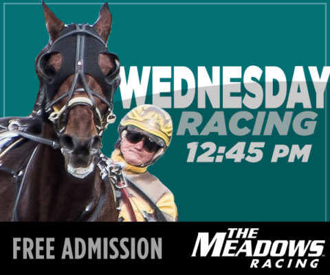 Msoa MSOA - Meadows Racing