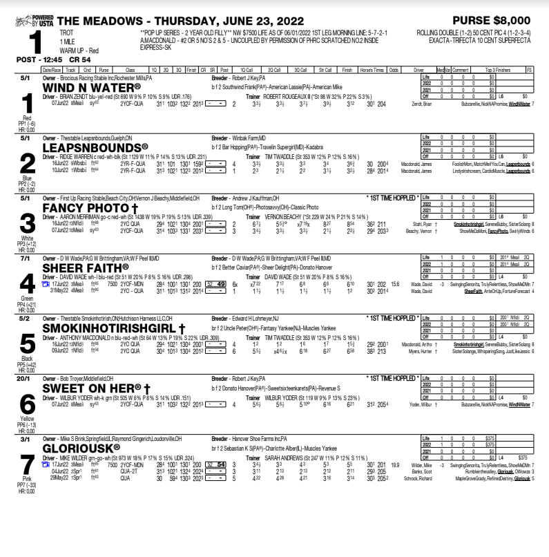 Race Program - Meadows Racing