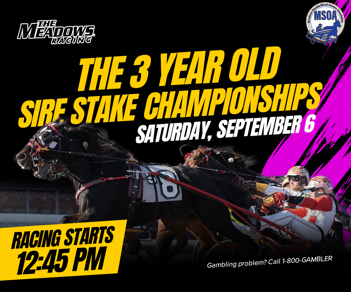 Sire Stakes Championship